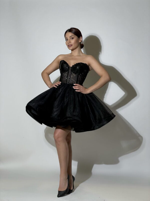 The Black Swan